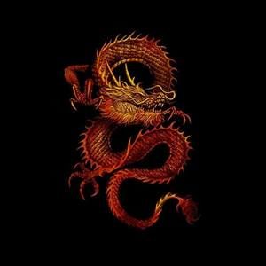 Meet your Posher, Audra